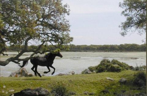 佩欧尼亚康体角住宿加早餐旅馆 卡利亚里 外观 照片